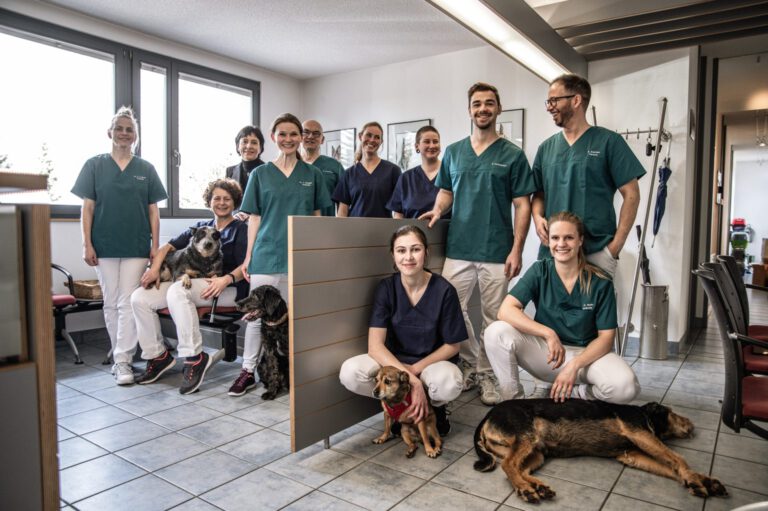 Tierarztpraxis Kettenacker Team